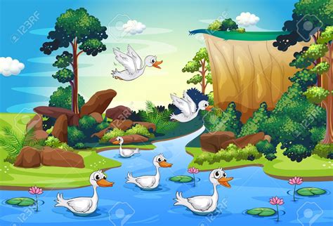 Rainforest Ecosystem Cartoon