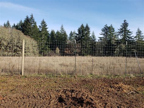 Deer Fencing | Creekside Farm Fence