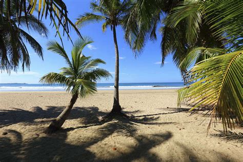 Parque Nacional Marino Las Baulas de Guanacaste - Costa Rica: Get the Detail of Parque Nacional ...