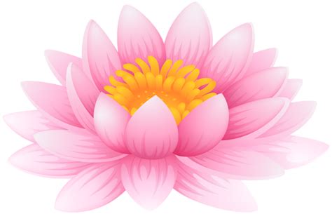 Lotus flower PNG