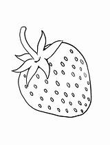 Fresa Imprimible para colorear Imprimir E Dibujar –ColoringOnlyCom sketch template
