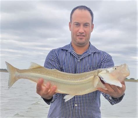 Cochicó: En la antesala de la Fiesta del Pejerrey, pescadores locales ...