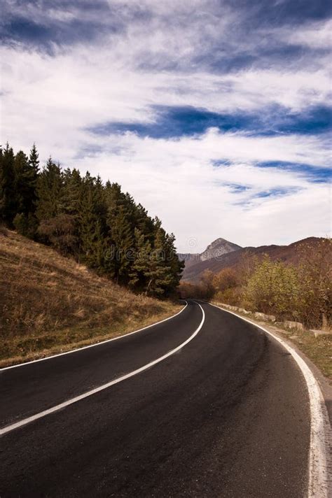 Paved road stock image. Image of panorama, forest, road - 17526409