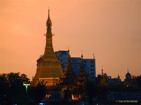 Durian Season in Yangon, Myanmar | Photo Essay - Year of the Durian