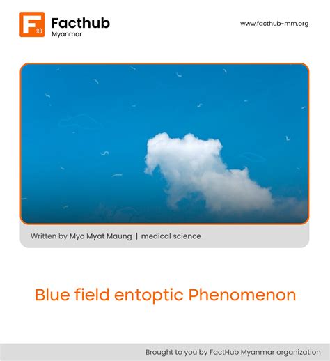 Blue field entoptic Phenomenon – Fact Hub Myanmar