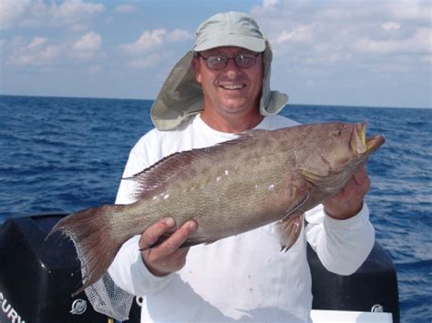 Scamp Grouper Fishing in the Florida Keys