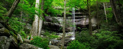 Gatlinburg Roaring Fork Motor Nature Trail | The Smoky Mountains Are Calling