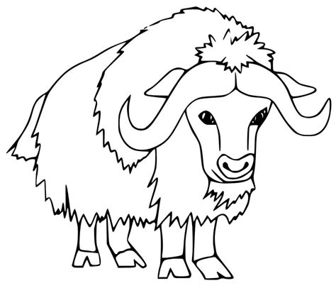 Free Printable Musk Ox Coloring Page - Free Printable Coloring Pages ...