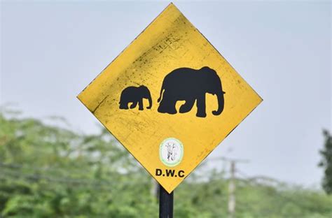 Sri Lankan Road Signs