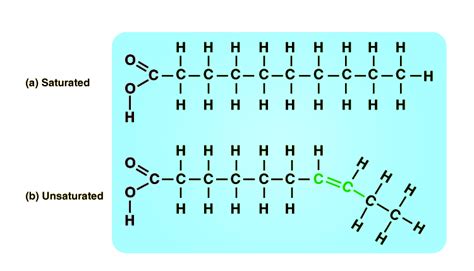 Lipids: Definition, Structure, Properties, Classification, Types, Examples