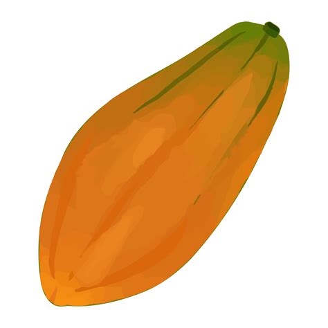 Watercolor Papaya, Hand painted fruit clipart 8519457 PNG