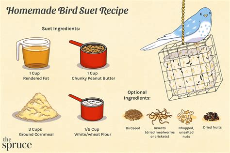 How to Make Homemade Bird Suet: 6 Recipe Ideas