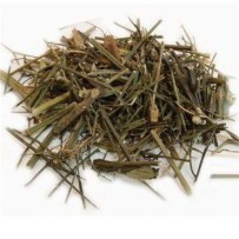 Kiriyath, Chirata (Swertia chiratta), Chiretta, Nilavepp - Dried - Buy Online|natureloc