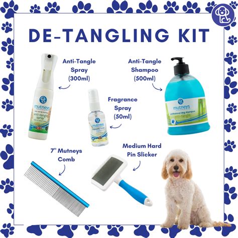 Importance of Grooming Your Poodle Cross At Home | Mutneys