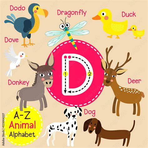 Vecteur Stock D letter tracing. Deer. Dodo. Dog. Donkey. Dove ...