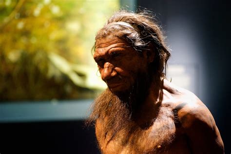 Interbreeding with Neanderthals, Denisovans gave us an evolutionary ...