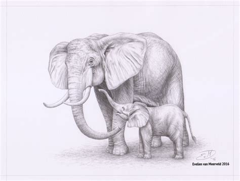 Mom And Baby Elephant Drawing at PaintingValley.com | Explore ...