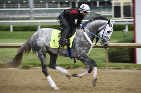 Creator is 2016 Belmont Stakes winner | Belmont stakes, Horses, Horse pictures