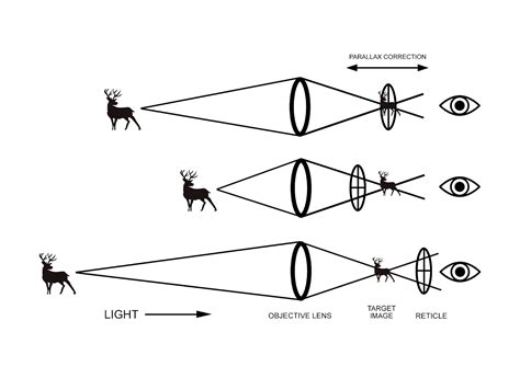 Correcting and Adjusting Rifle Scope Parallax — Outdoorsmans