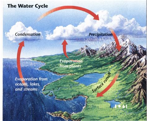 Earth's Hydrosphere: One of the Elements That Makes Life Possible