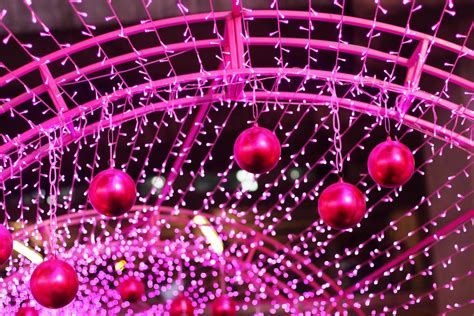 Pink Christmas Lights Stock Photos, Images and Backgrounds for Free ...