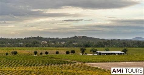 Winery Tours In Australia – Ami Tours