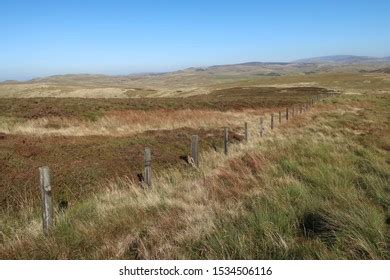 Cheviot Hills Northumberland England September 21 Stock Photo 1534506116 | Shutterstock