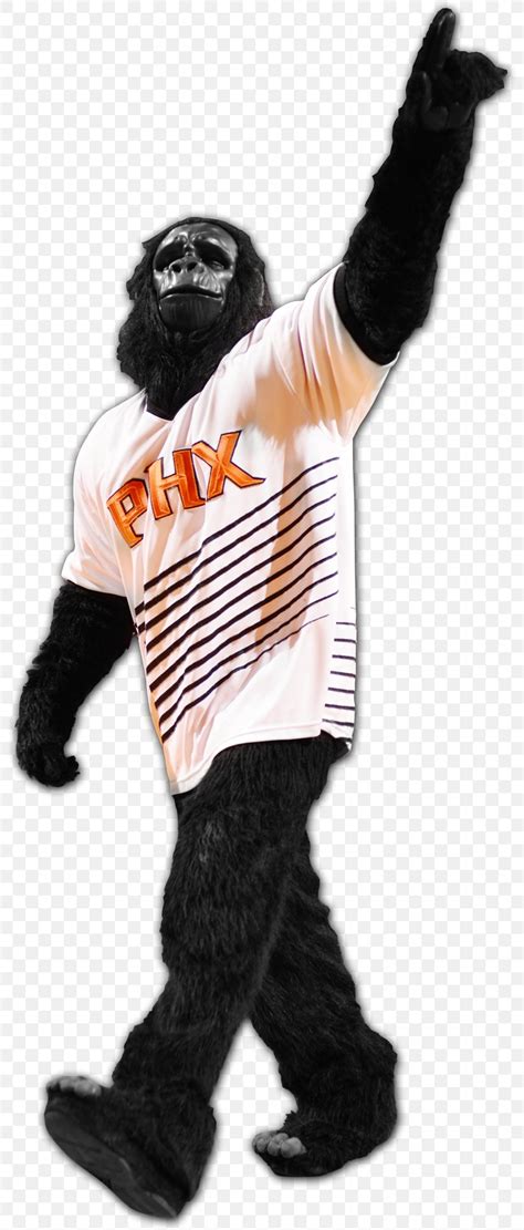 Phoenix Suns Mascot Costume - Handmade Chic