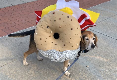 Pinterest @spiciwasabi 🦋🦋🦋 Dog Costume | Bacon egg and cheese, Beagle ...