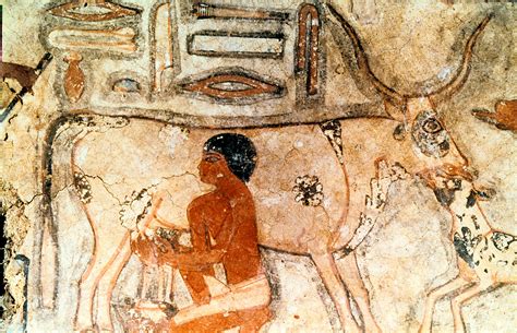 Dairy Farming: the Ancient History of Producing Milk