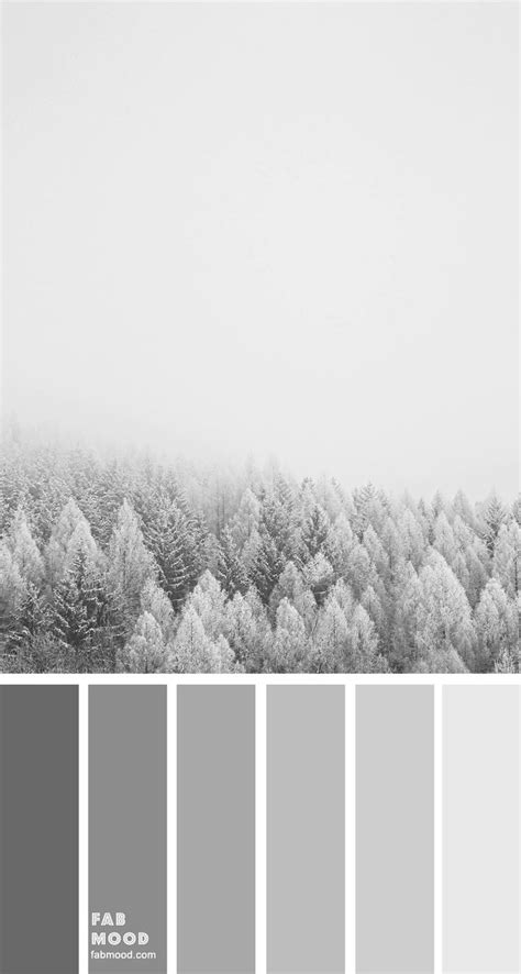 Shades of grey color palette | Shades of gray color, Shades of grey paint, Grey color palette