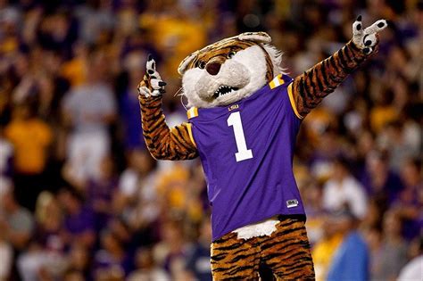 LSU Tigers Mascot, Louisiana State University, Baton Rouge, Louisiana ...