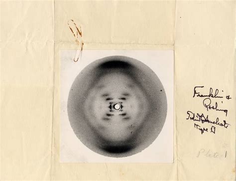 Crystallographic photo of Sodium Thymonucleate, Type B. "Photo 51." May ...