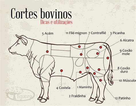 Tipos de Cortes da Carne Bovina - Almanaque Culinário