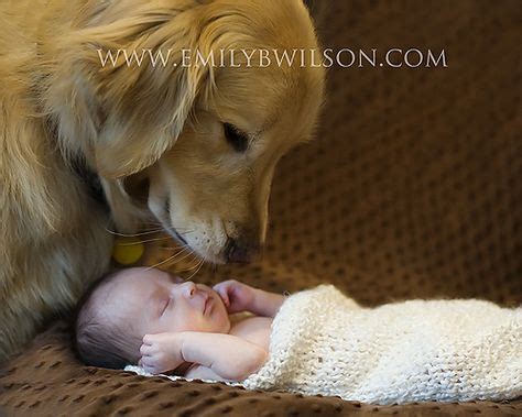 Beautiful sleeping baby and dog. #photography, #dog #baby #sleeping baby # chesapeake retriever ...