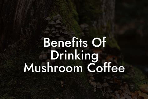 Benefits Of Drinking Mushroom Coffee - Mr Mushroom