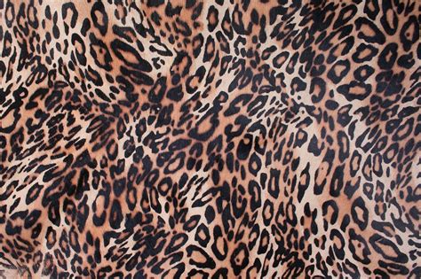 Leopard Print Leather Calf - Free photo on Pixabay - Pixabay