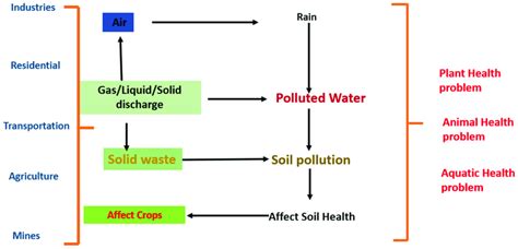 Sources and effects of heavy metals. | Download Scientific Diagram