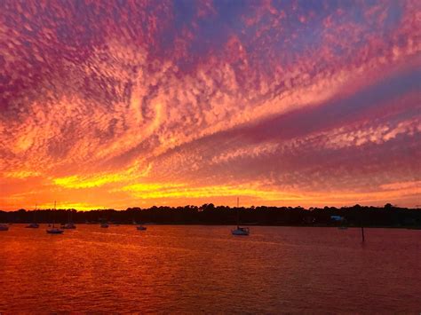 Just another sunset in South Carolina : r/pics