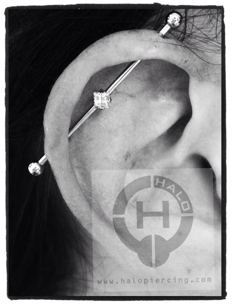 New industrial piercing - we always allow room for swelling. She will ...