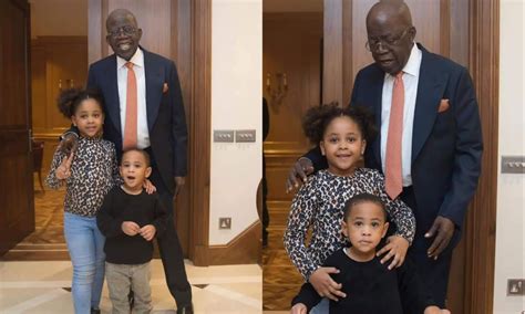 Tinubu's son, Seyi shares recent photos of father playing with grandchildren - Daily Post Nigeria