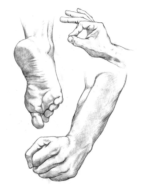 The Art and Animation of Kyle Casey: Hands & Feet Studies