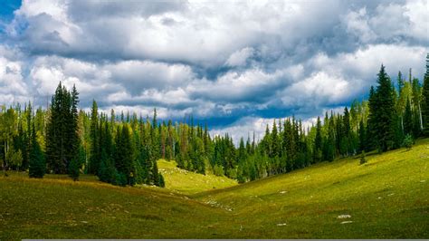 Kaibab Plateau Trail | Arizona Highways