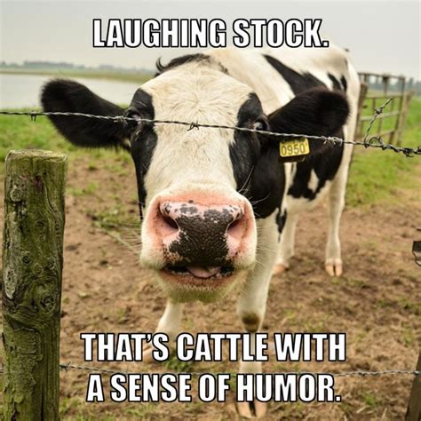 15 great farming memes that say exactly what's on your mind | AGDAILY