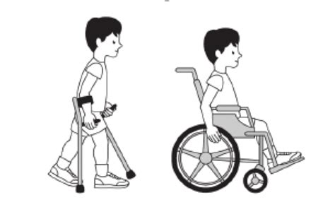 LA DISCAPACIDAD: LA DISCAPACIDAD FÍSICA