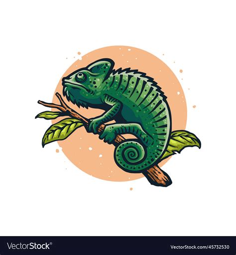 Chameleon artwork Royalty Free Vector Image - VectorStock