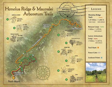 Hiking Trails | Kapalua resort, Hiking trails, Kapalua