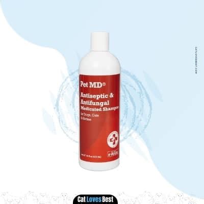 The 5 Best Ringworm Shampoo for Cats in 2023