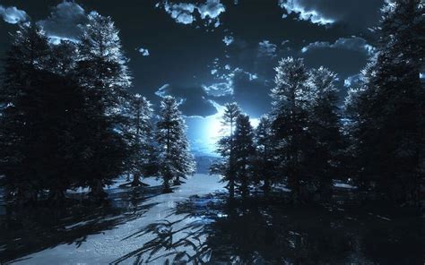 Fotografia de noche!! | Forest moon, Night sky photos, Night forest