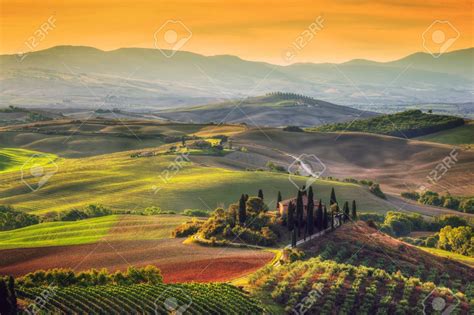 scene 1 sunrise vista Tuscan Design, Tuscan Style, Italy Magazine, Tuscany Landscape, Villas In ...